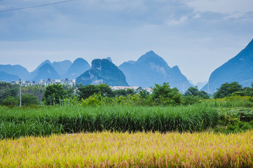七彩网是什么含义