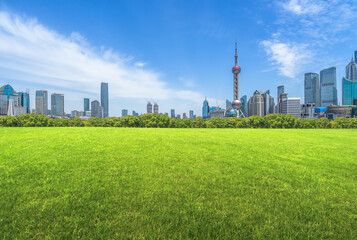 高尔夫车悬挂类型